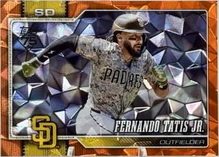 Fernando Tatis Jr.
