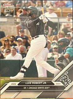 Luis Robert Jr.