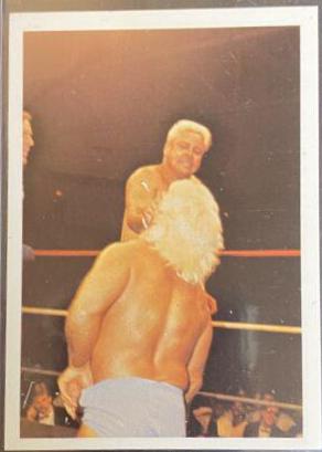 Ron Garvin vs Ric Flair #252 Wrestling Cards 1988 Wonderama NWA