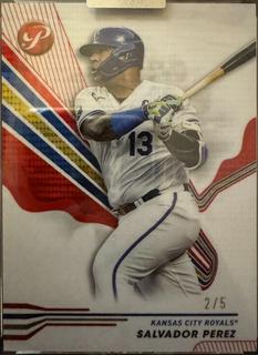 Salvador Perez