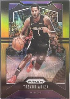Trevor Ariza