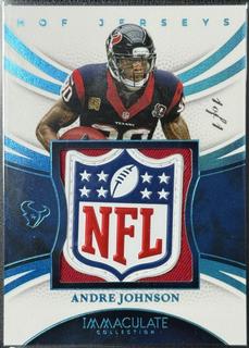 Andre Johnson