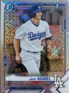 Jake Vogel