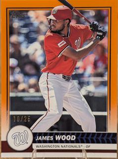 James Wood