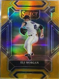 Eli Morgan