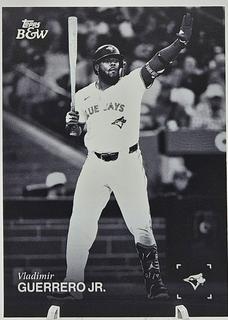 Vladimir Guerrero Jr.