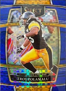 Troy Polamalu