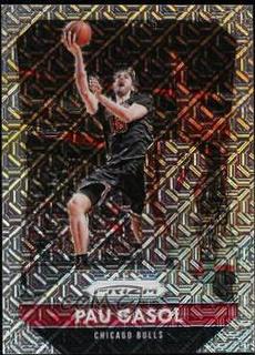 Pau Gasol