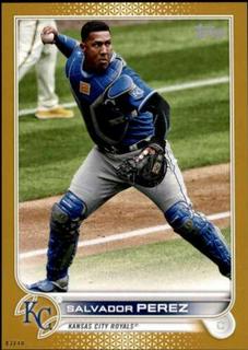 Salvador Perez