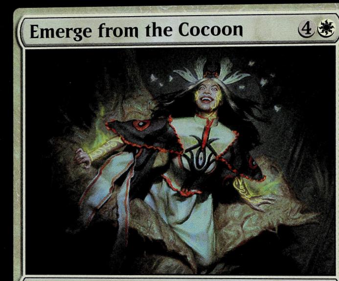 Emerge from the Cocoon