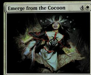 Emerge from the Cocoon