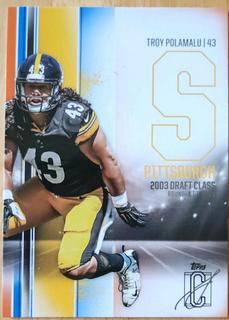 Troy Polamalu