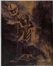 Reggie Wayne [Fire Wood] #95
