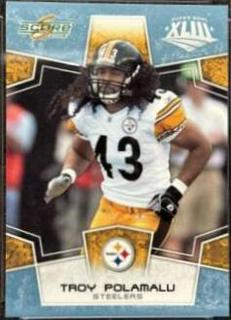 Troy Polamalu