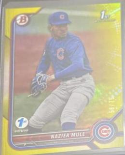 Nazier Mule