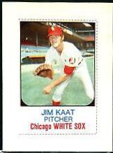1975 Jim Kaat [Hand Cut] #110