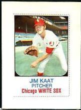 Jim Kaat