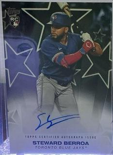 Steward Berroa