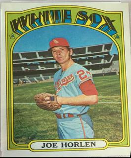 Joe Horlen