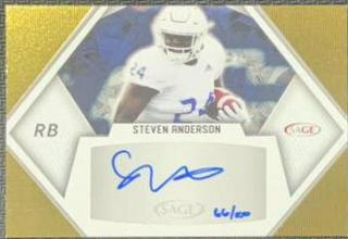 Steven Anderson