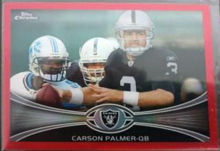 Carson Palmer