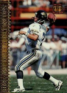 Steve Beuerlein
