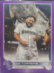 Luis Torrens