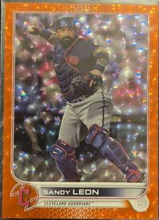 Sandy Leon