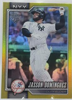 Jasson Dominguez