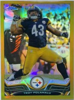 Troy Polamalu