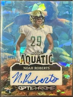 Noah Roberts