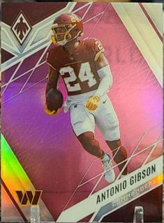 Antonio Gibson
