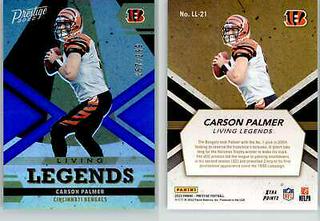 Carson Palmer