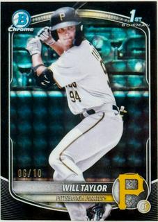 Will Taylor