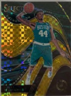 Robert Williams III [Gold] #14