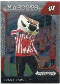 Bucky Badger