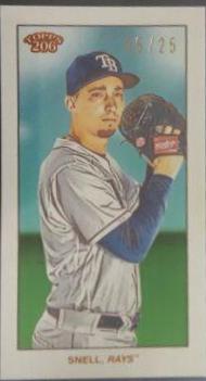 Blake Snell [Cycle]