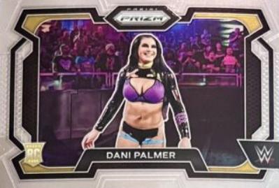Dani Palmer #68 Wrestling Cards 2024 Panini Prizm WWE