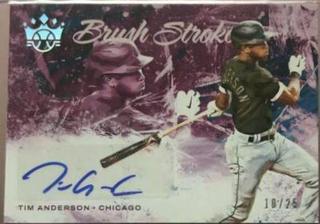 Tim Anderson