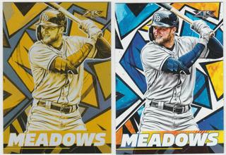 Austin Meadows