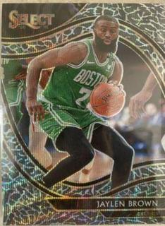 Jaylen Brown