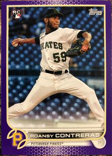 Roansy Contreras