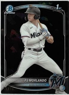 PJ Morlando