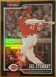 Sal Stewart
