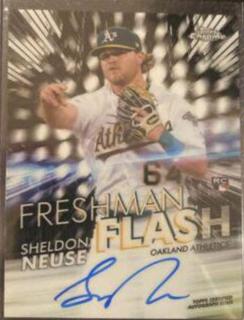 Sheldon Neuse