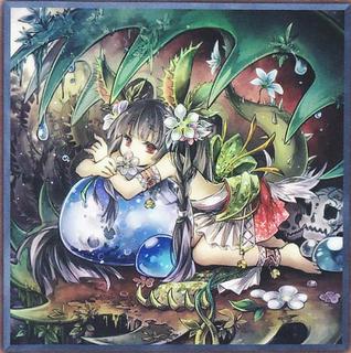 Traptrix Dionaea PRIO-JP025
