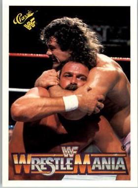 Ravishing' Rick Rude, Jake 'The Snake' Roberts #47 Wrestling Cards 1990 Classic WWF The History of Wrestlemania