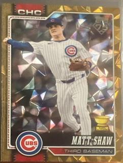 Matt Shaw