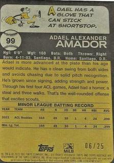 Adael Amador