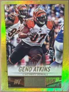 Geno Atkins